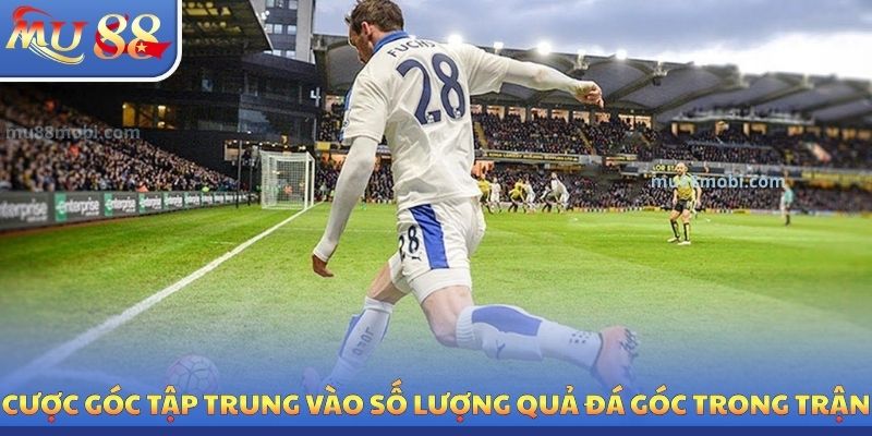Cược góc tập trung vào số lượng quả đá góc trong trận
